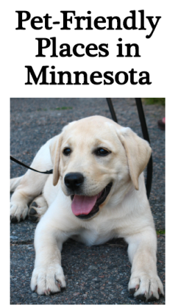 pet friendly places in minnesota